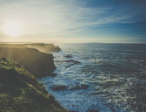 A Day on the Coast